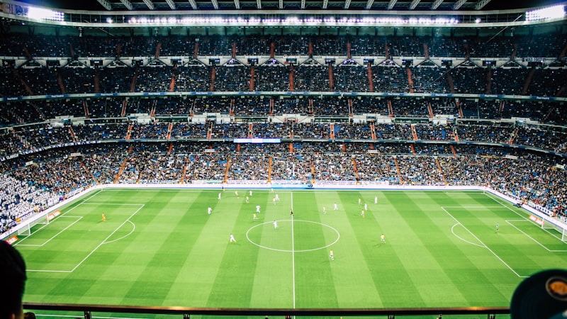 里昂队徽及球队在Groupama体育场比赛画面